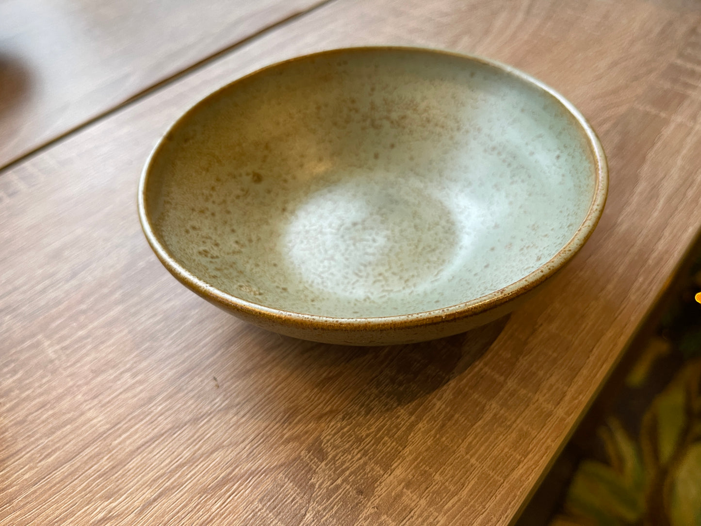 Salted oatmeal dinner bowl